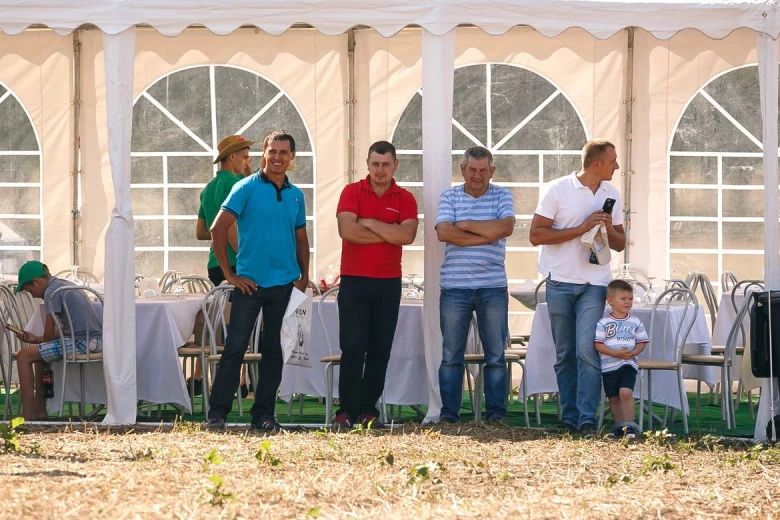 Ziua campului