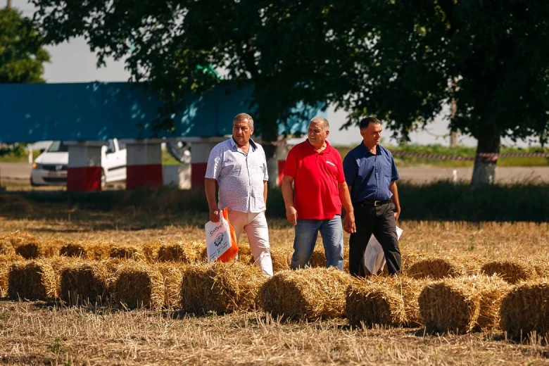 Ziua campului