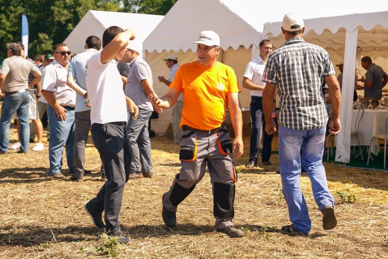 Ziua campului