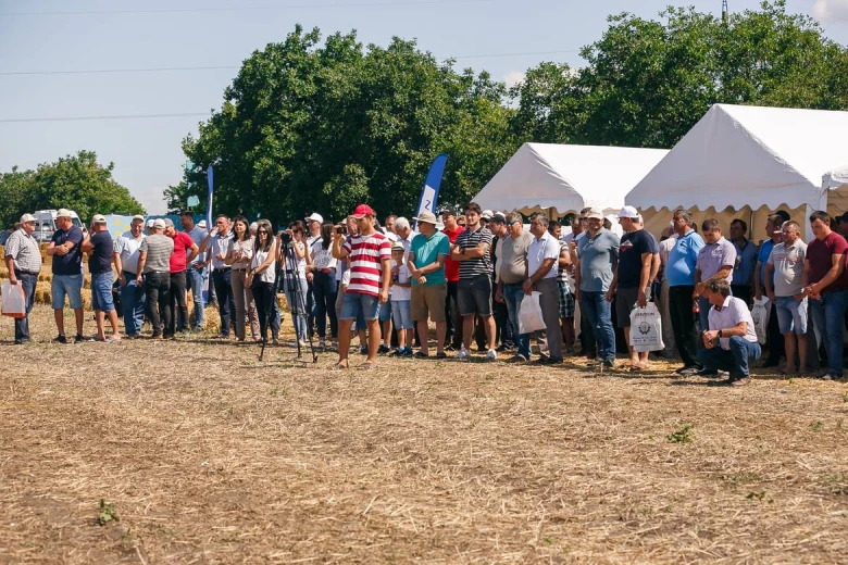 Ziua campului