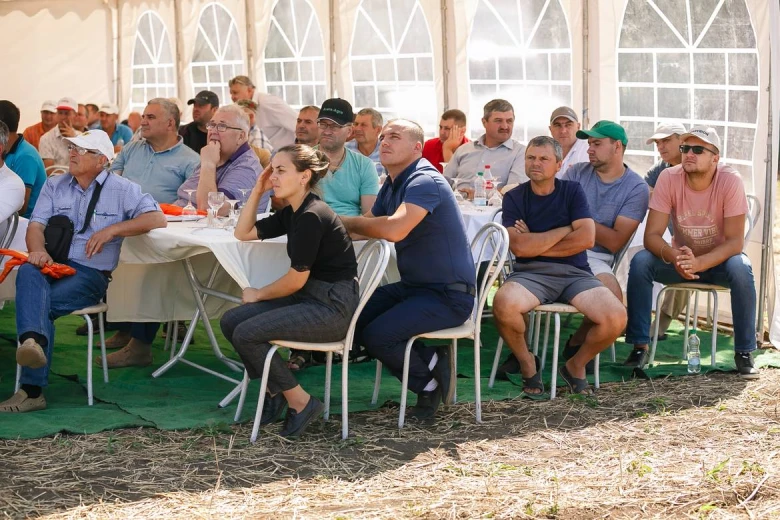 Ziua campului