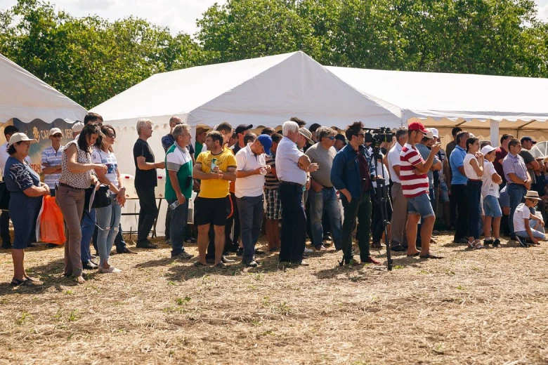 Ziua campului