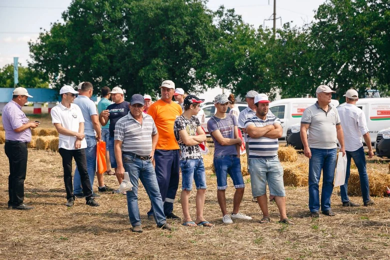Ziua campului