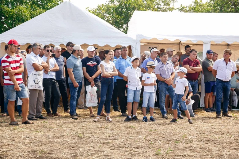 Ziua campului