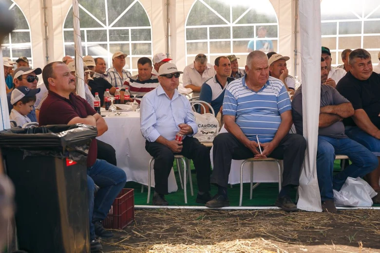 Ziua campului