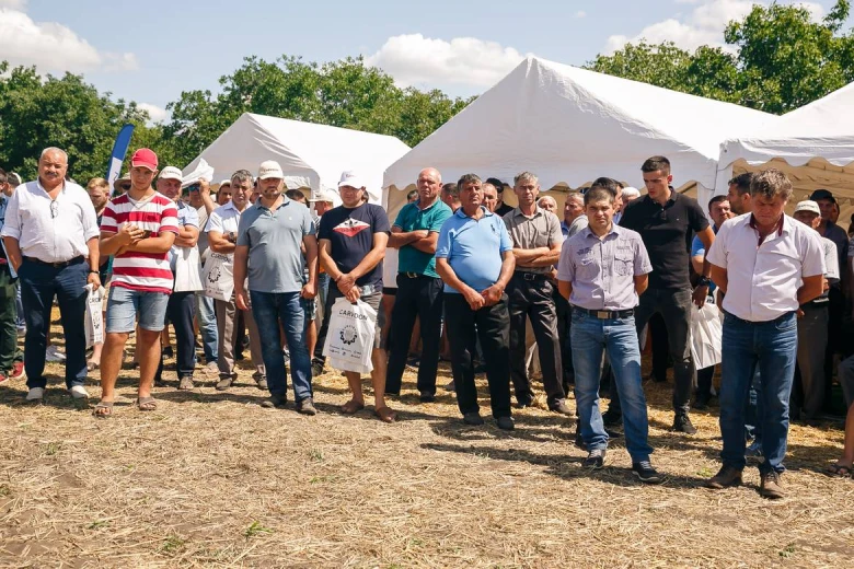 Ziua campului