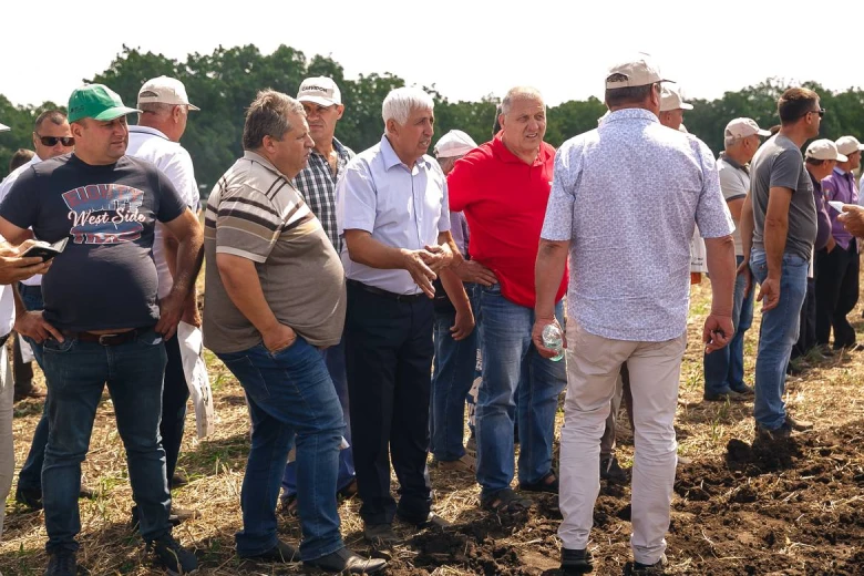 Ziua campului