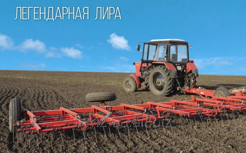 GRAPĂ DINȚATĂ „ZPG-15 LIRA”