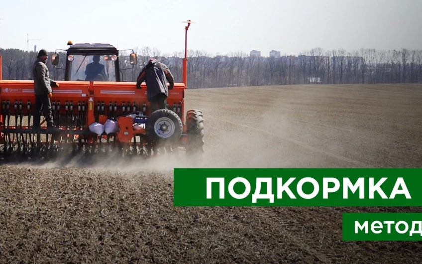Подкормка озимых зерновых культур. Метод Бузницкого